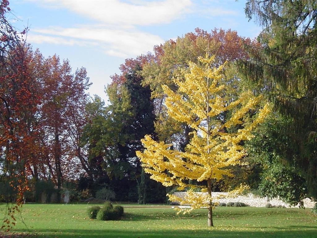 Chambres d'Hôtes Château Beaupré Saint-Laurent-des-Arbres Esterno foto